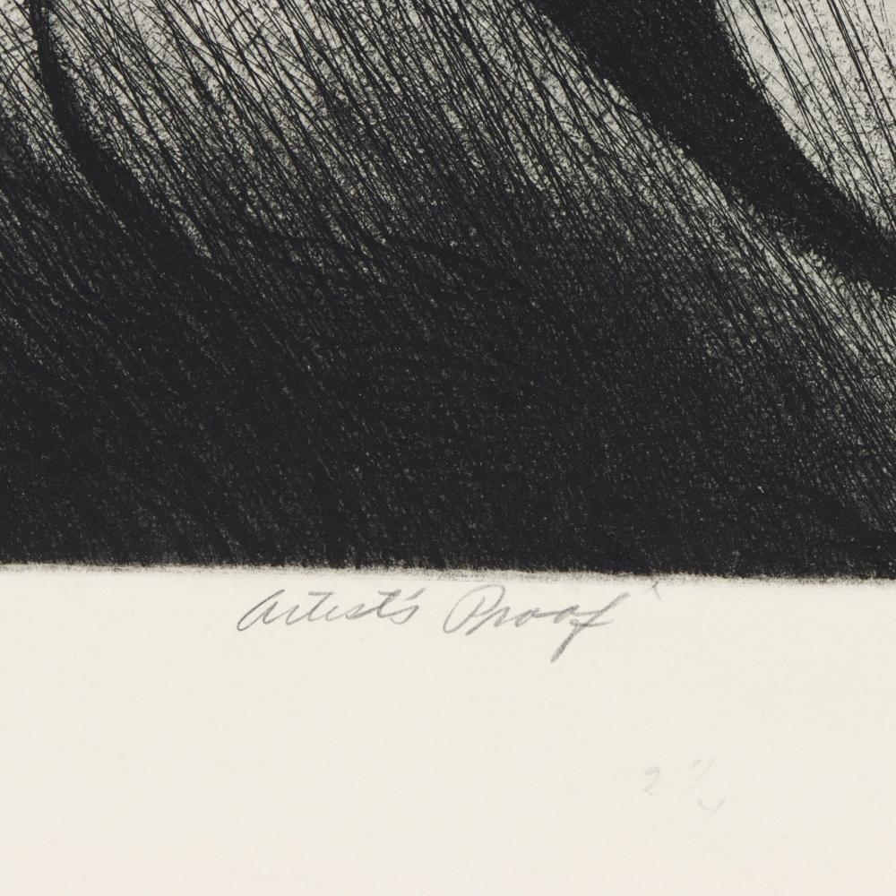 Artwork by Donald Richard Sexauer, To Fly, To Fly, Made of etching