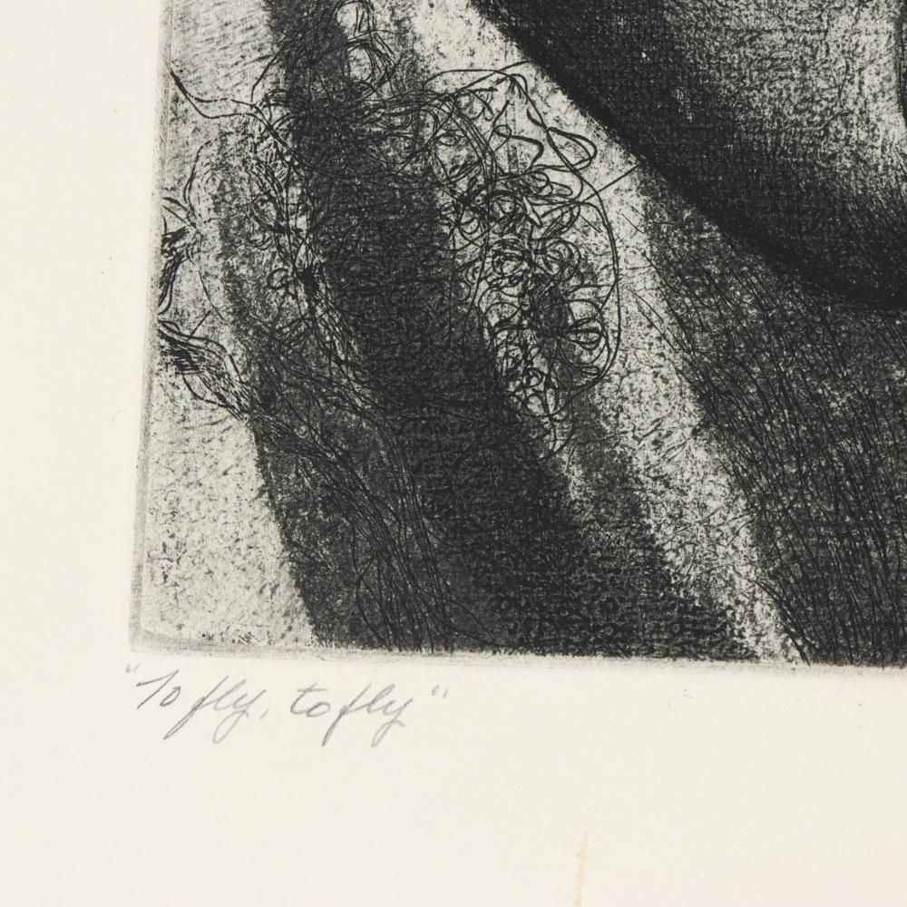 Artwork by Donald Richard Sexauer, To Fly, To Fly, Made of etching