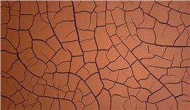 Largest Ever Indoor Exhibition by Andy Goldsworthy Takes over the National Galleries of Scotland