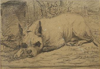 Study of a sleeping dog - Alfred Baker
