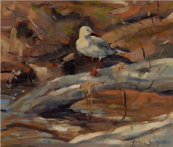 Seagull - Helene Seymour