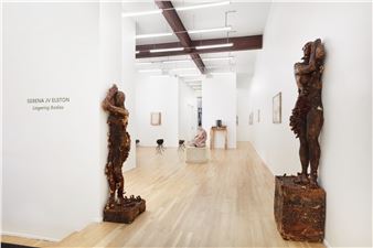 Serena JV Elston: Lingering Bodies - Andrew Rafacz Gallery