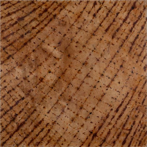 First Rain 2003-04 - Martin King