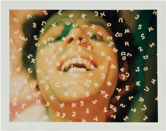 Lucas Samaras: Polaroids - Joslyn Art Museum