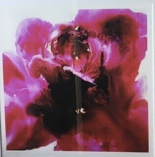 Roseberrylicious - Andrea Byrne