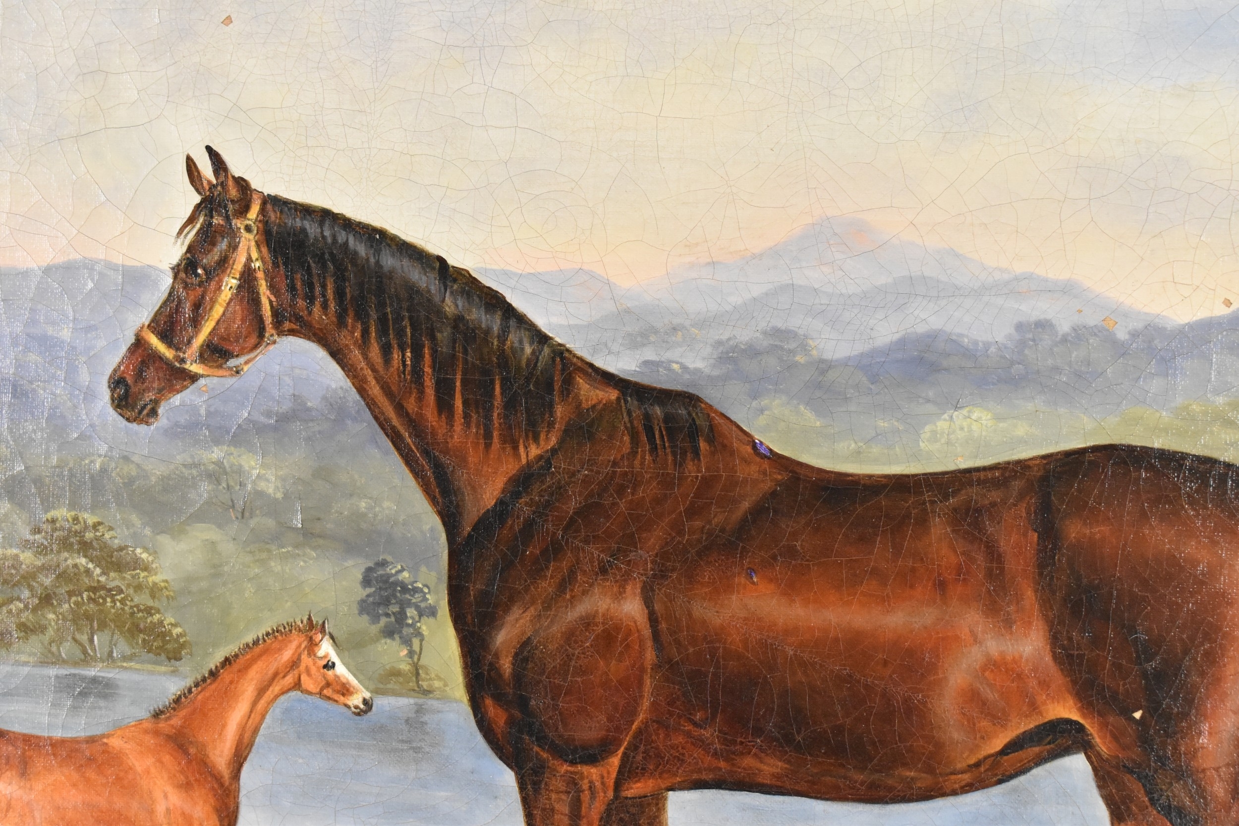 Artwork by Samuel Spode, An oil on canvas depicting a mare and foal in a landscape, Made of Oil on canvas