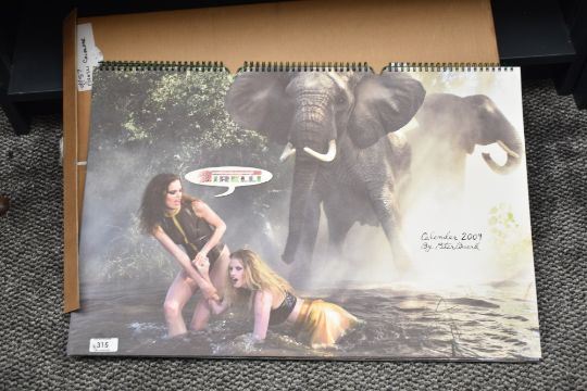 Peter Beard | Calendrier Pirelli (2009) | MutualArt
