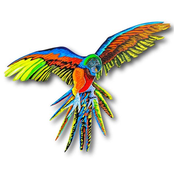 Macaw by Patricia Govezensky