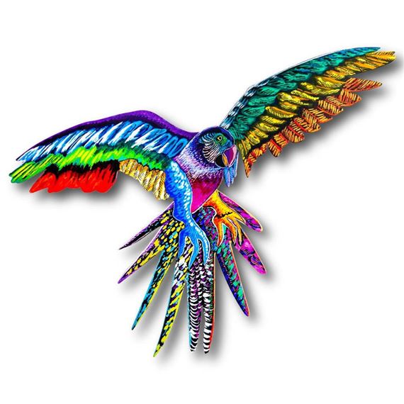 Macaw by Patricia Govezensky