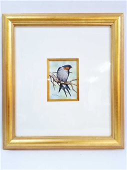 Barn Swallow - Paul Margocsy