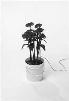 Unfolding into the World: A Conversation with Tory Fair