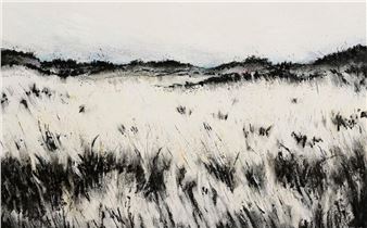 Burnt Field I (2013 - Sorca O'Farrell