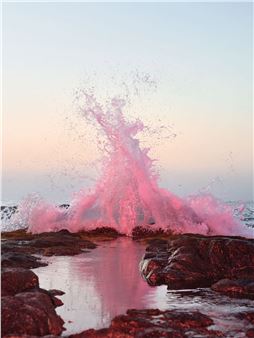 Nature, Perception and Materiality in Contemporary Lens-based Art - Bildhalle, Amsterdam (Hazenstraat)