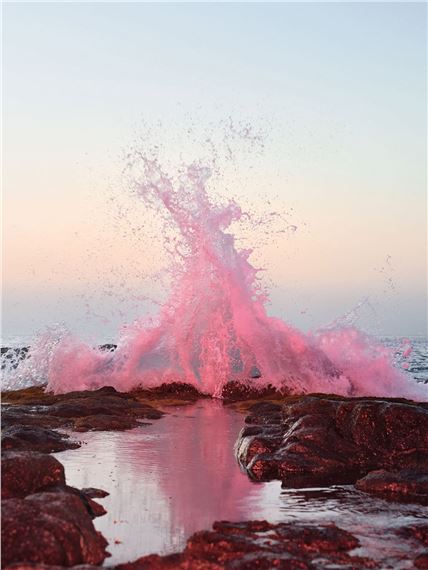 Nature, Perception and Materiality in Contemporary Lens-based Art - Bildhalle, Amsterdam (Hazenstraat)