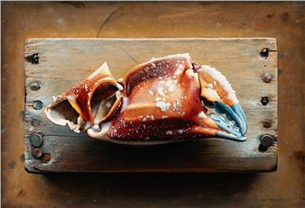 Lobster Claw - John Whalley