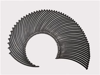 Nautilus - John Bisbee