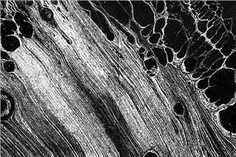 Lesley Cohen: Shift-Response - Bromfield Gallery