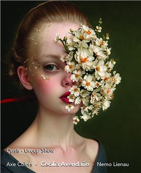Opsis - Galeria Contrast
