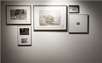 OR - Dastan's Basement