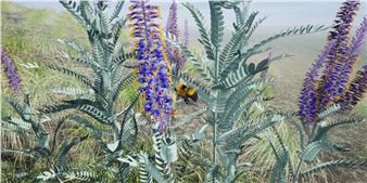 Faculty Sabbatical Triennial - SAIC Galleries