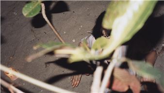 Daniel Josefsohn: Unseen - Galerie Crone, Berlin