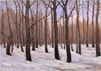 The Silence of the Forest - Nicholas Tempeanu