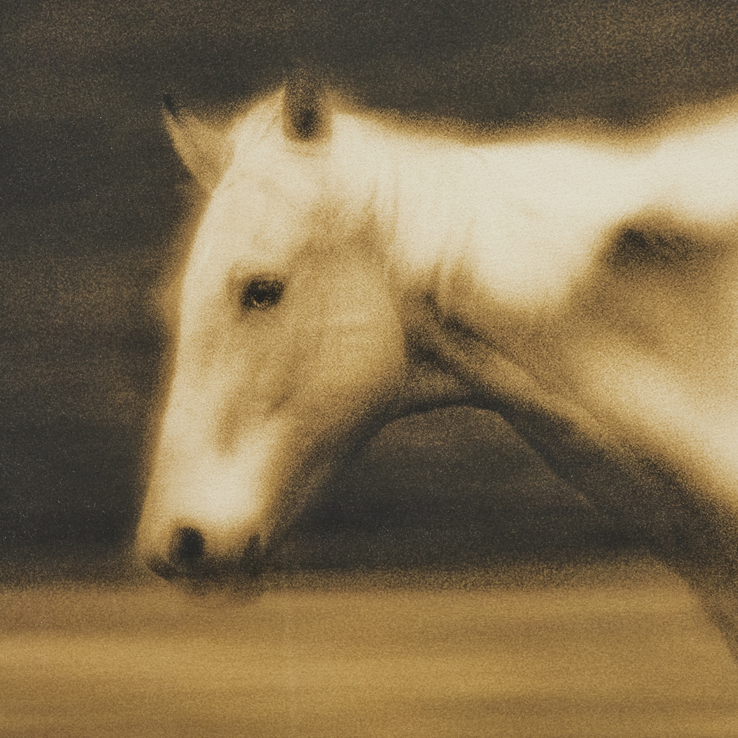 Artwork by Michael Eastman, Horse #36, Made of Digital Photograph