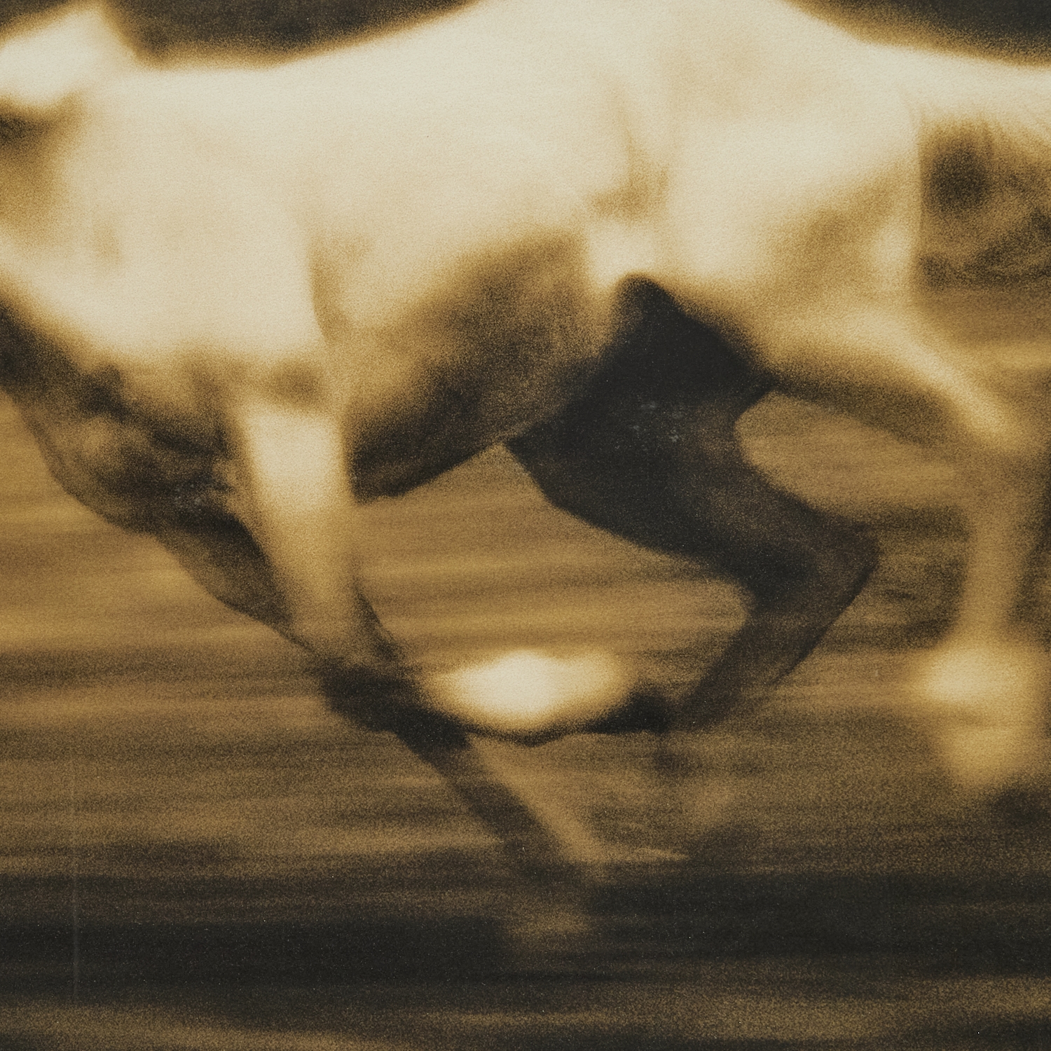 Artwork by Michael Eastman, Horse #36, Made of Digital Photograph