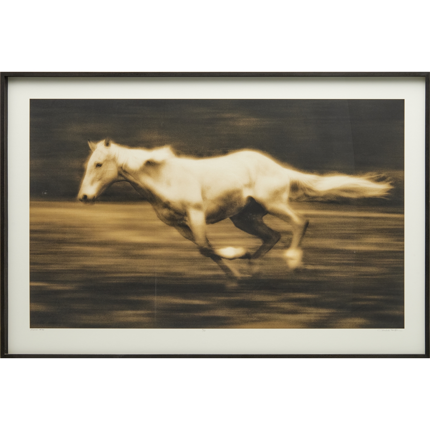 Artwork by Michael Eastman, Horse #36, Made of Digital Photograph