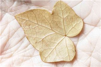 Elisabetta Di Maggio: Frangible - GAM, Galleria Civica d'Arte Moderna e Contemporanea Turin