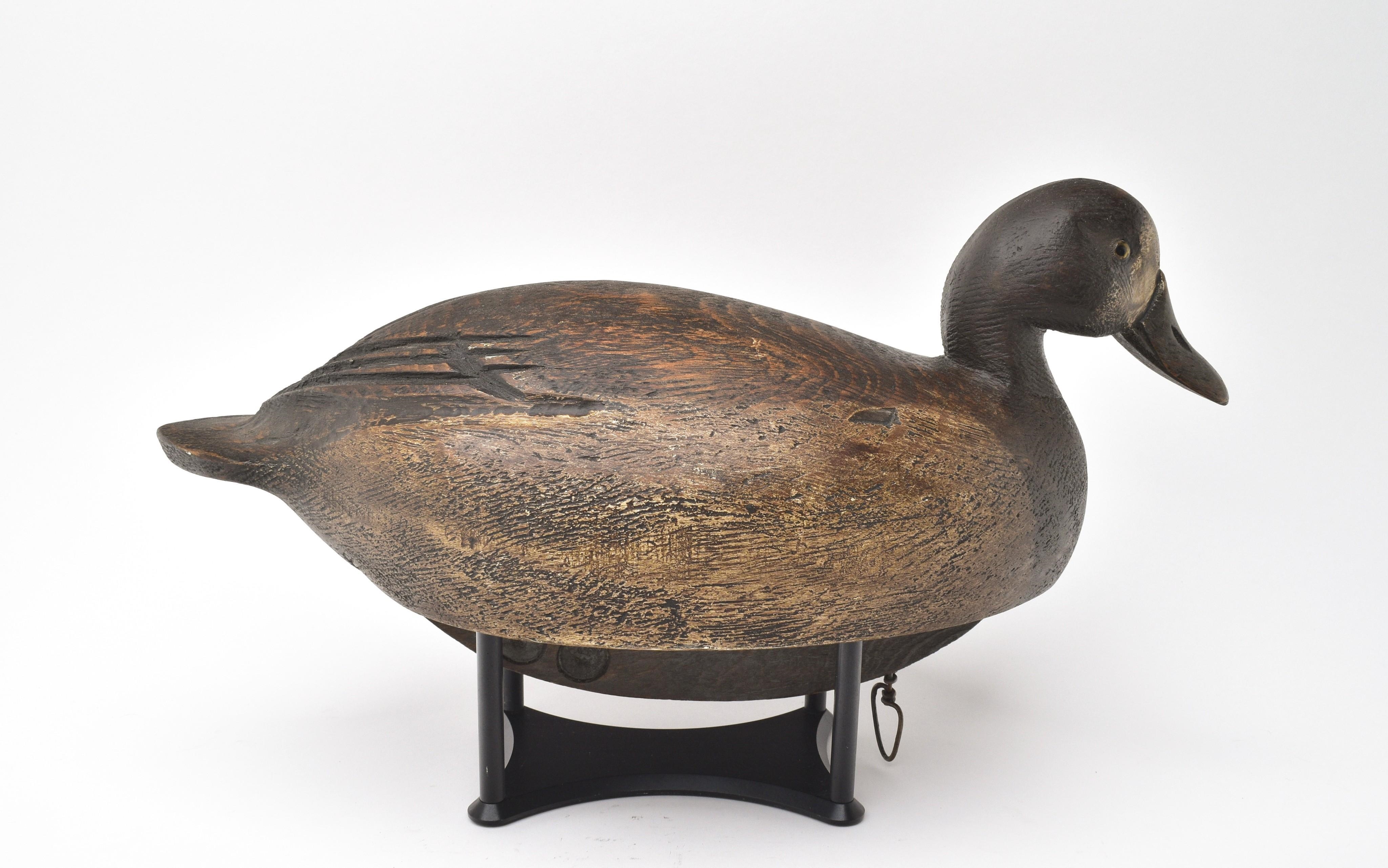 Artwork by Ralph Malpage, Bluebill hen