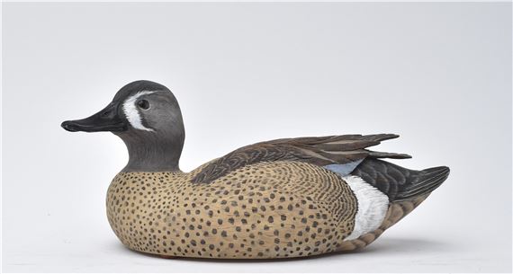 Blue wing teal - Fred Muhs