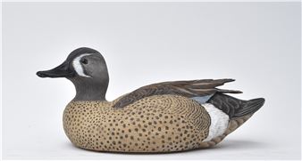 Blue wing teal - Fred Muhs