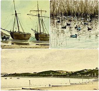 Ducks and Reeds - Neil S. Hopkins