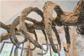 Edith Karlson at Sapieha Palace in Vilnius 