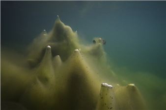 Hans-Christian Schink: On Land - MdbK Leipzig