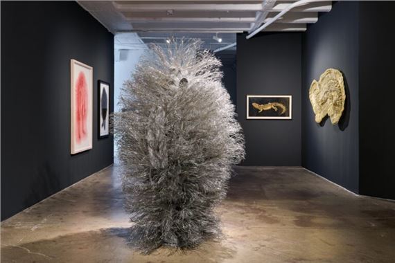 Walter Oltmann and the Alchemy of Wire