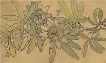 Fragile Matter - Hilliard Art Museum