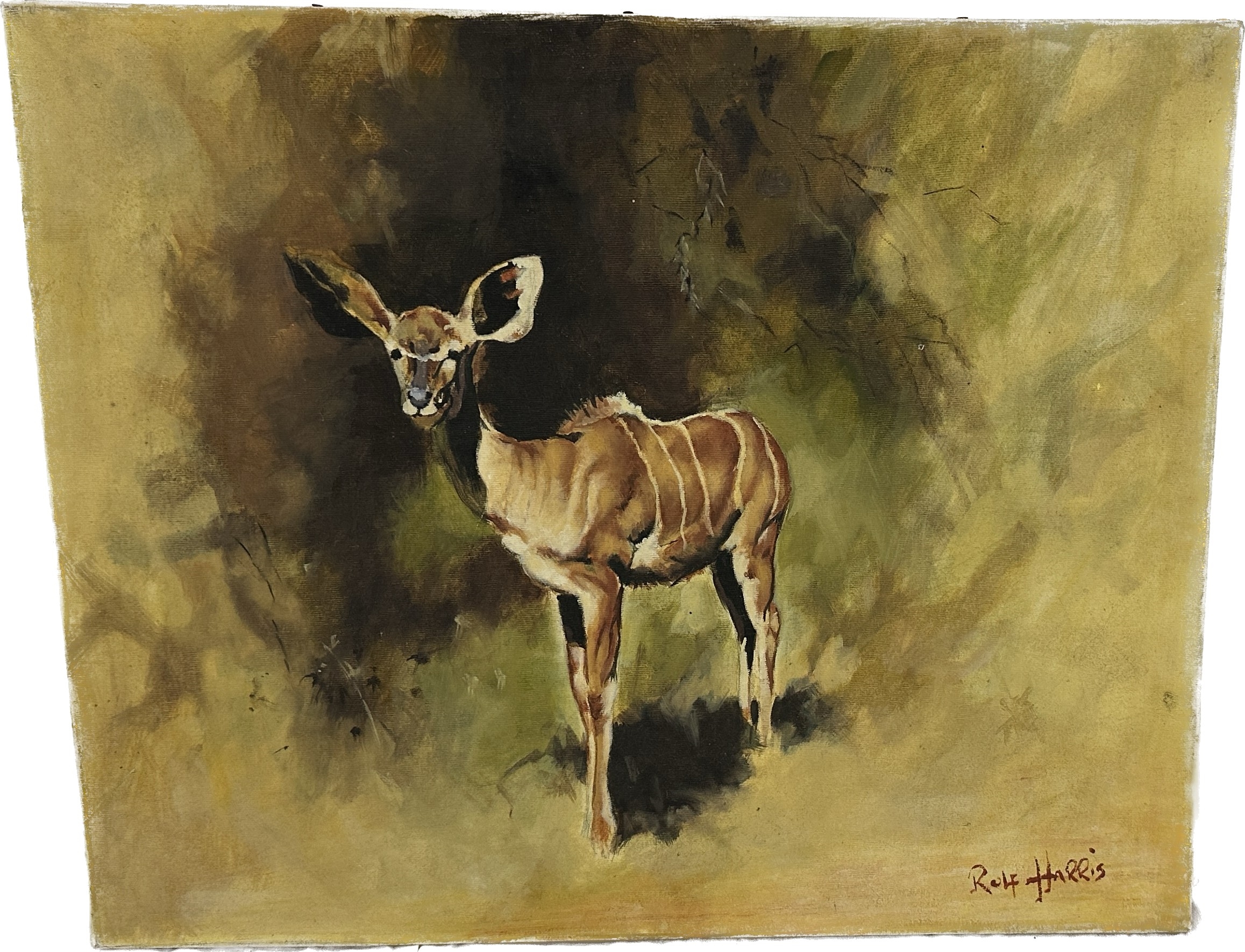 Rolf Harris | Original Rolf Harris | MutualArt