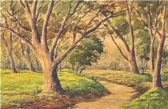 A sun-dappled woodland path winding through a grove of tall trees.