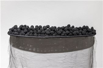 Architectures of Protection - Art Gallery of Greater Victoria