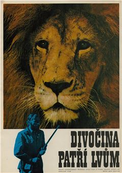 Divočina patří lvům - Zdeněk Virt