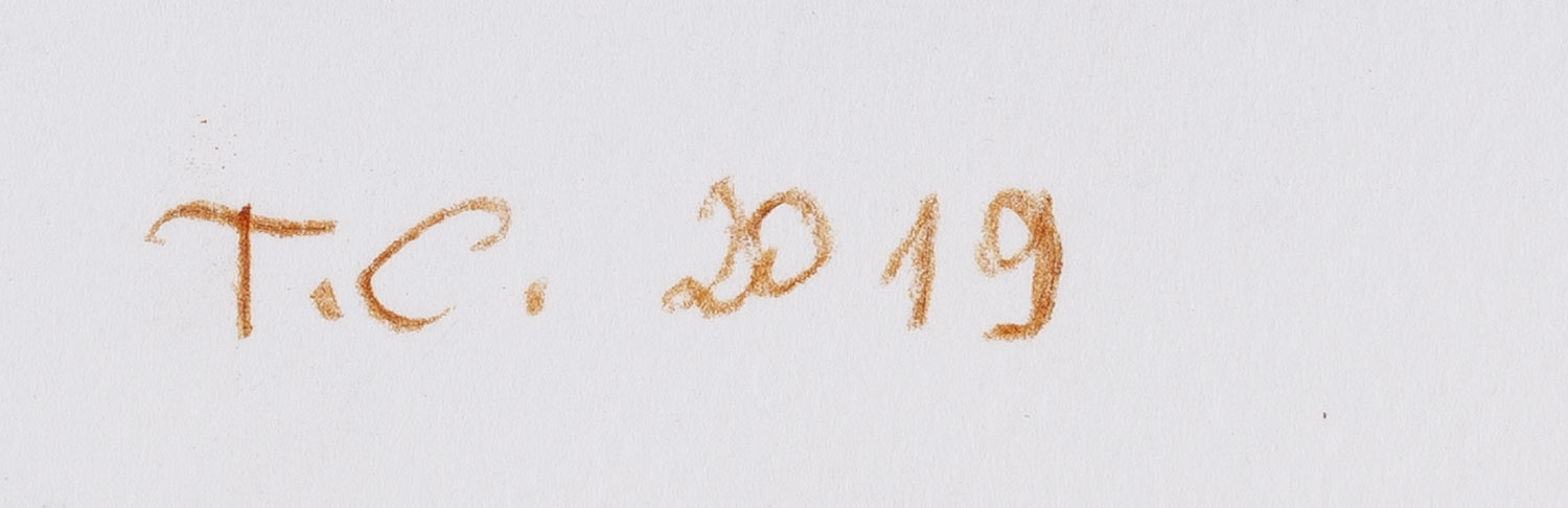 Artwork by Tomasz Ciecierski, Bez tytułu, 2019, Made of kolaż, rapidograf, fotografia/karton