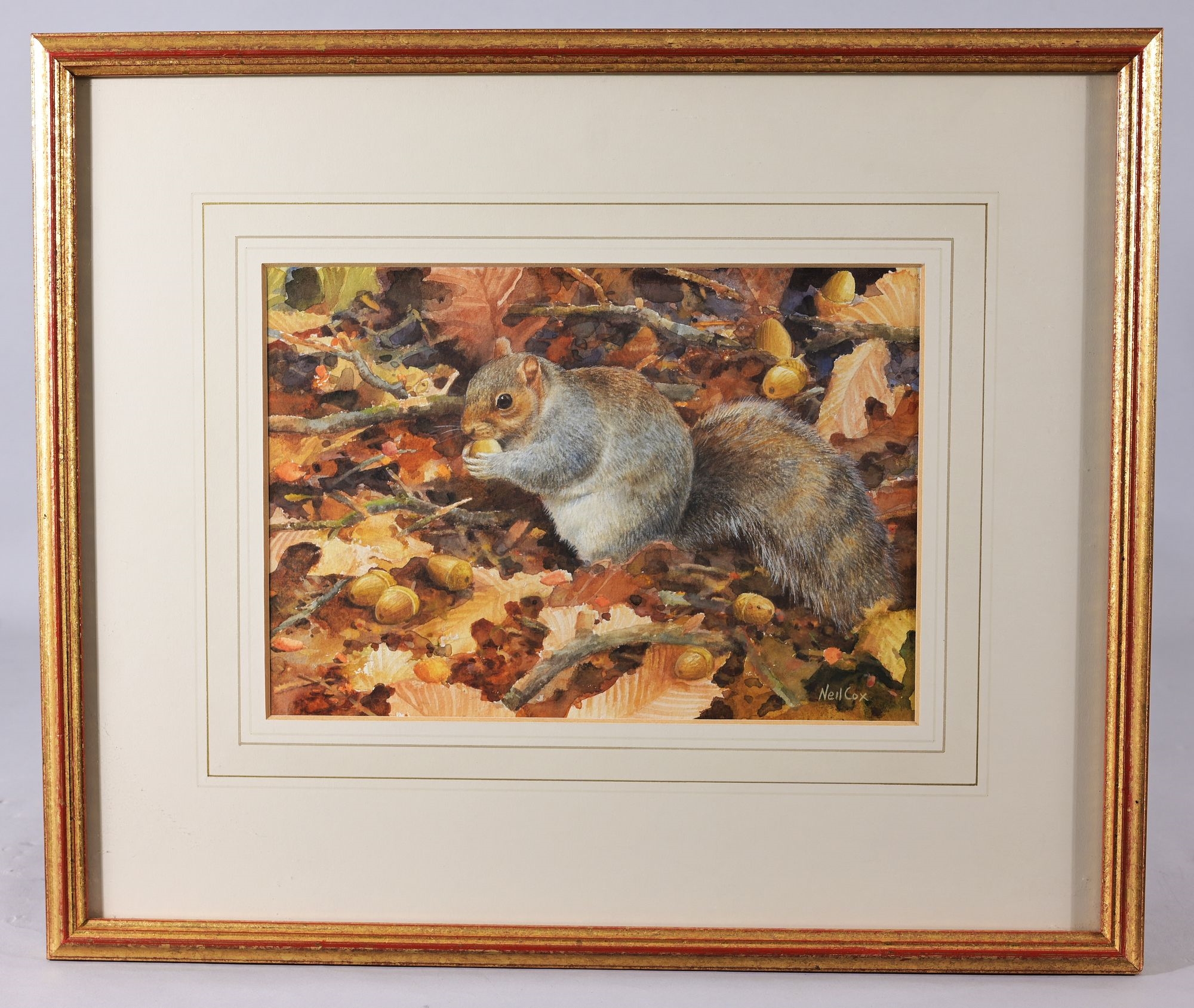Artwork by Neil Cox, Squirrel in Autumn Leaves, Made of Watercolor