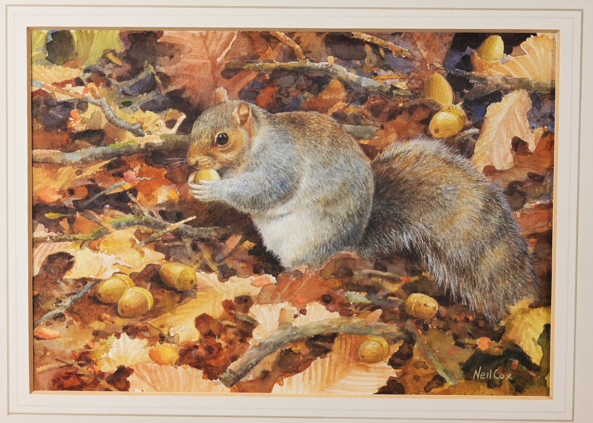 Artwork by Neil Cox, Squirrel in Autumn Leaves, Made of Watercolor