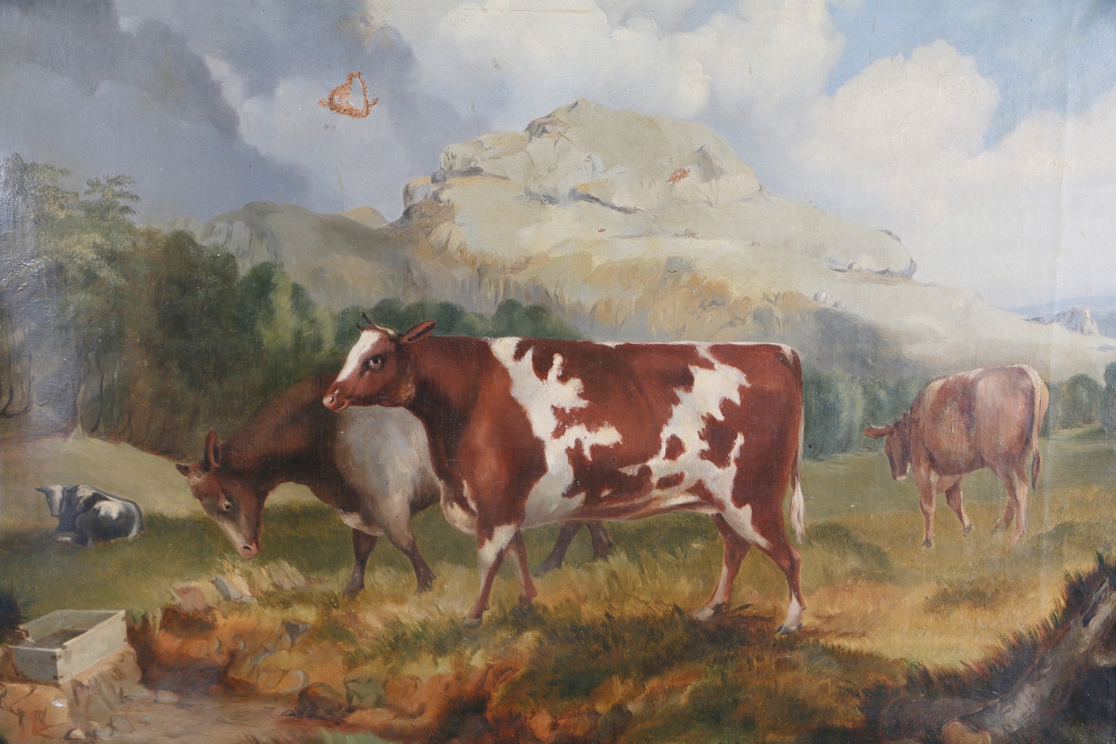 Primitive School, 19th Century | Primitive Bull and other Cows in ...