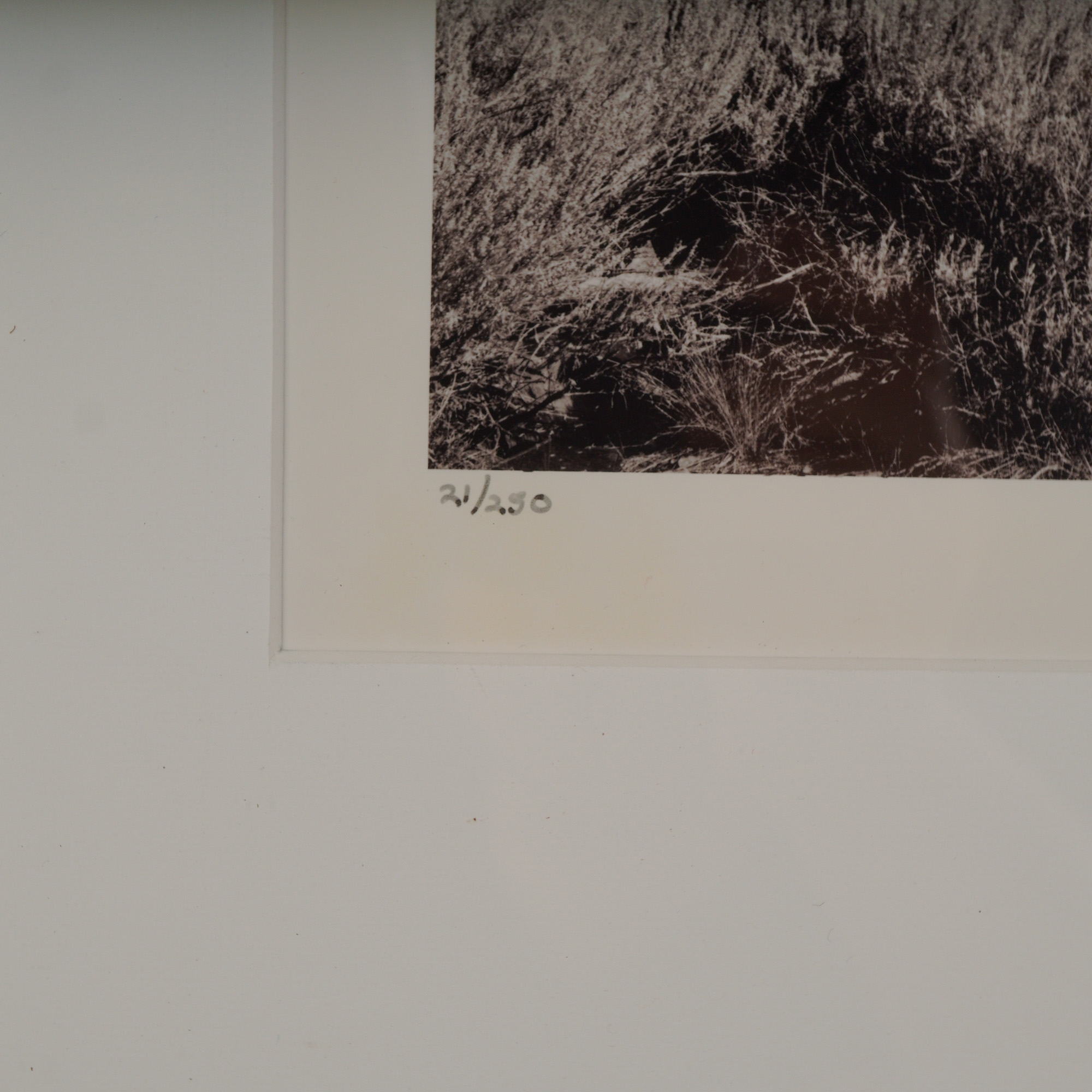 Artwork by James A. Swallow, Waiting Till the Next, Made of black and white photograph