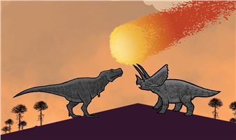 After the Age of Dinosaurs - The Field Museum