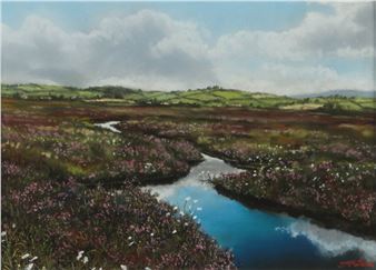 GALWAY BOG - Sam Mateer