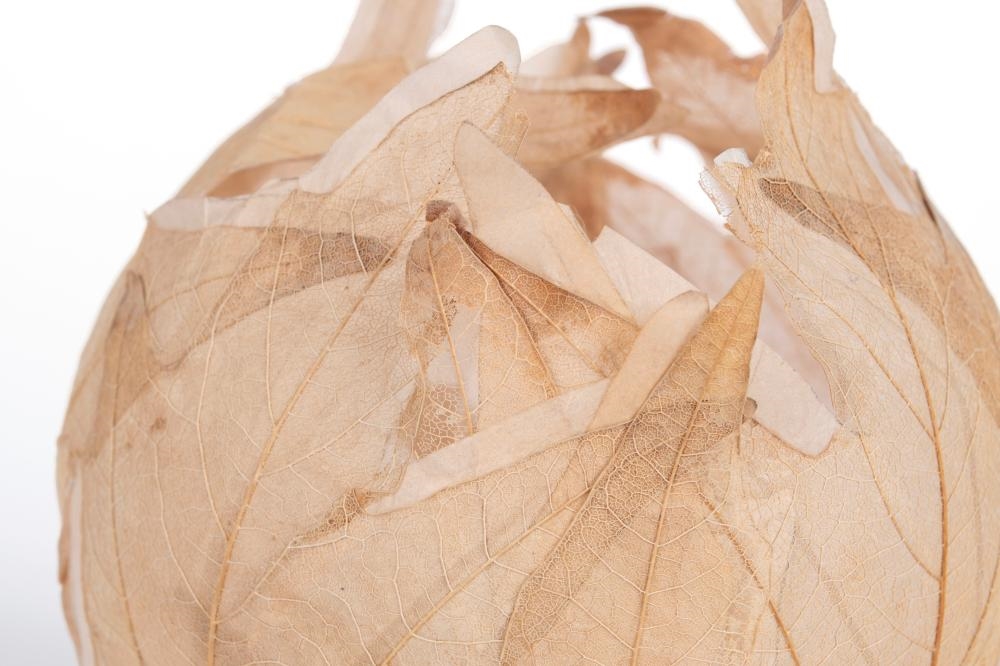 Artwork by Kay Sekimachi, Leaf Bowl Sculpture, Made of Maple leaves and paper